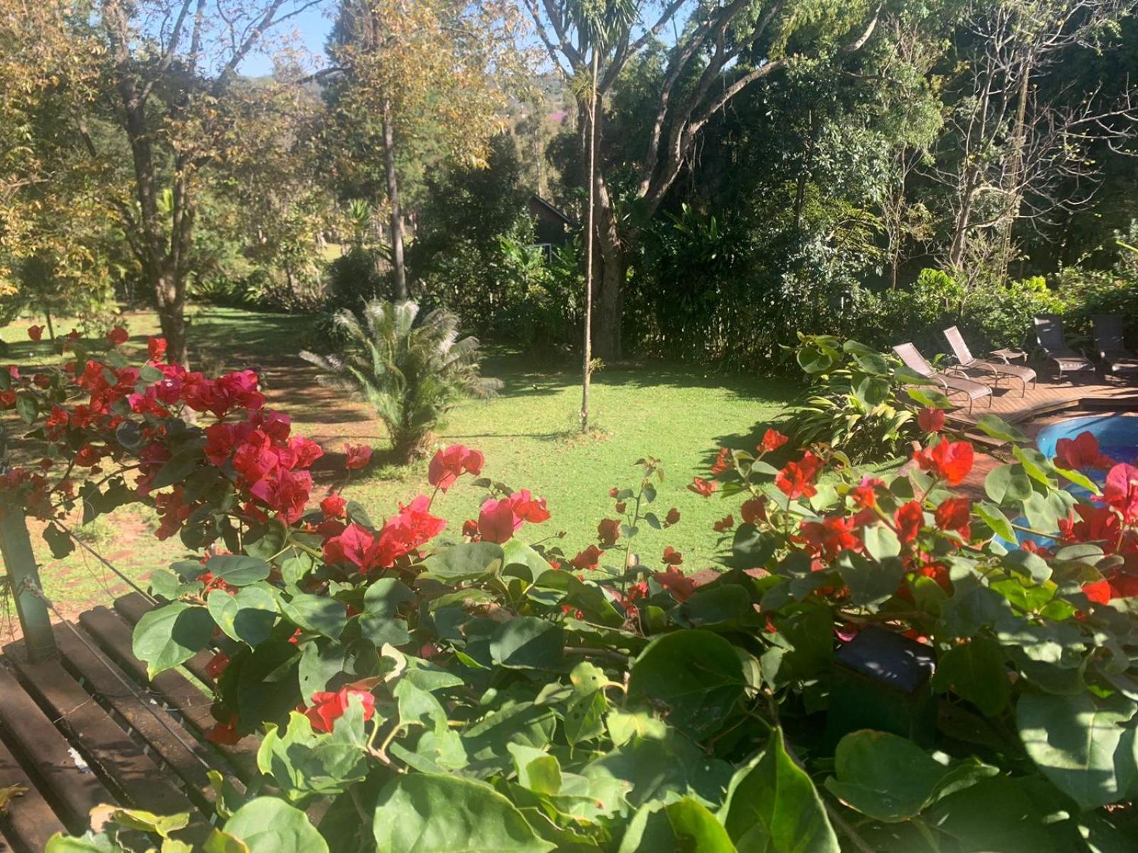 Casa Chica: no meio da natureza e perto de tudo