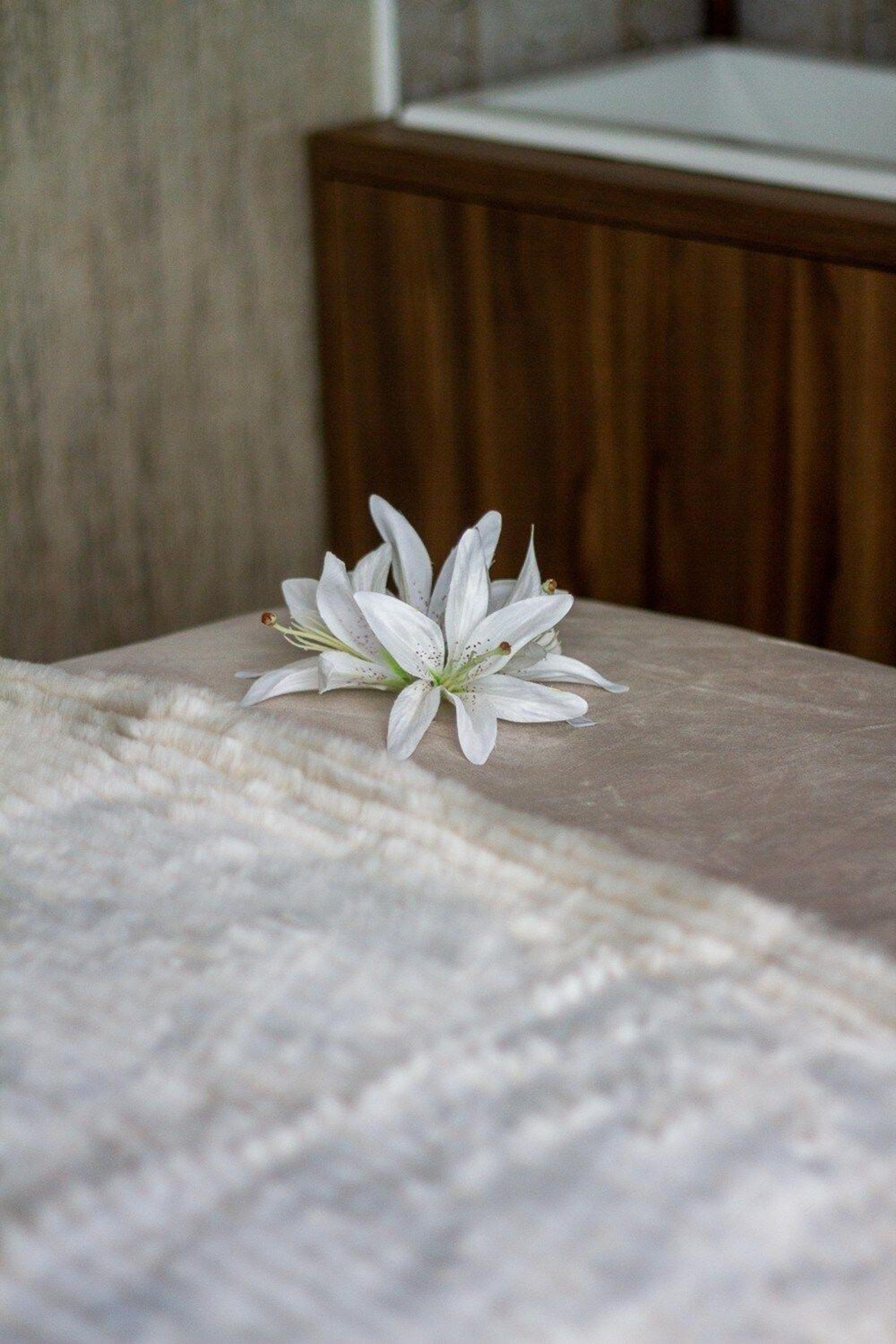 Photo 35