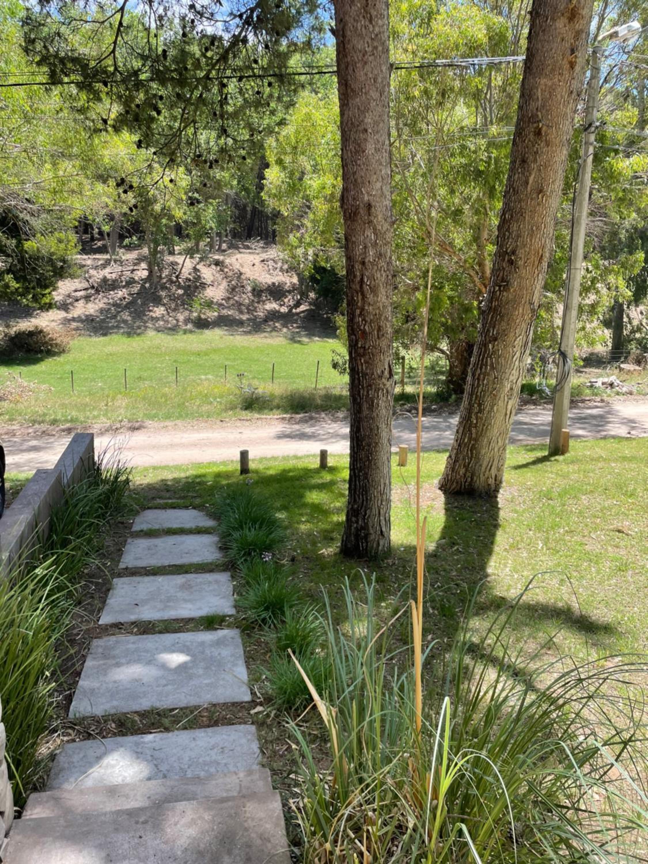 BOSQUE