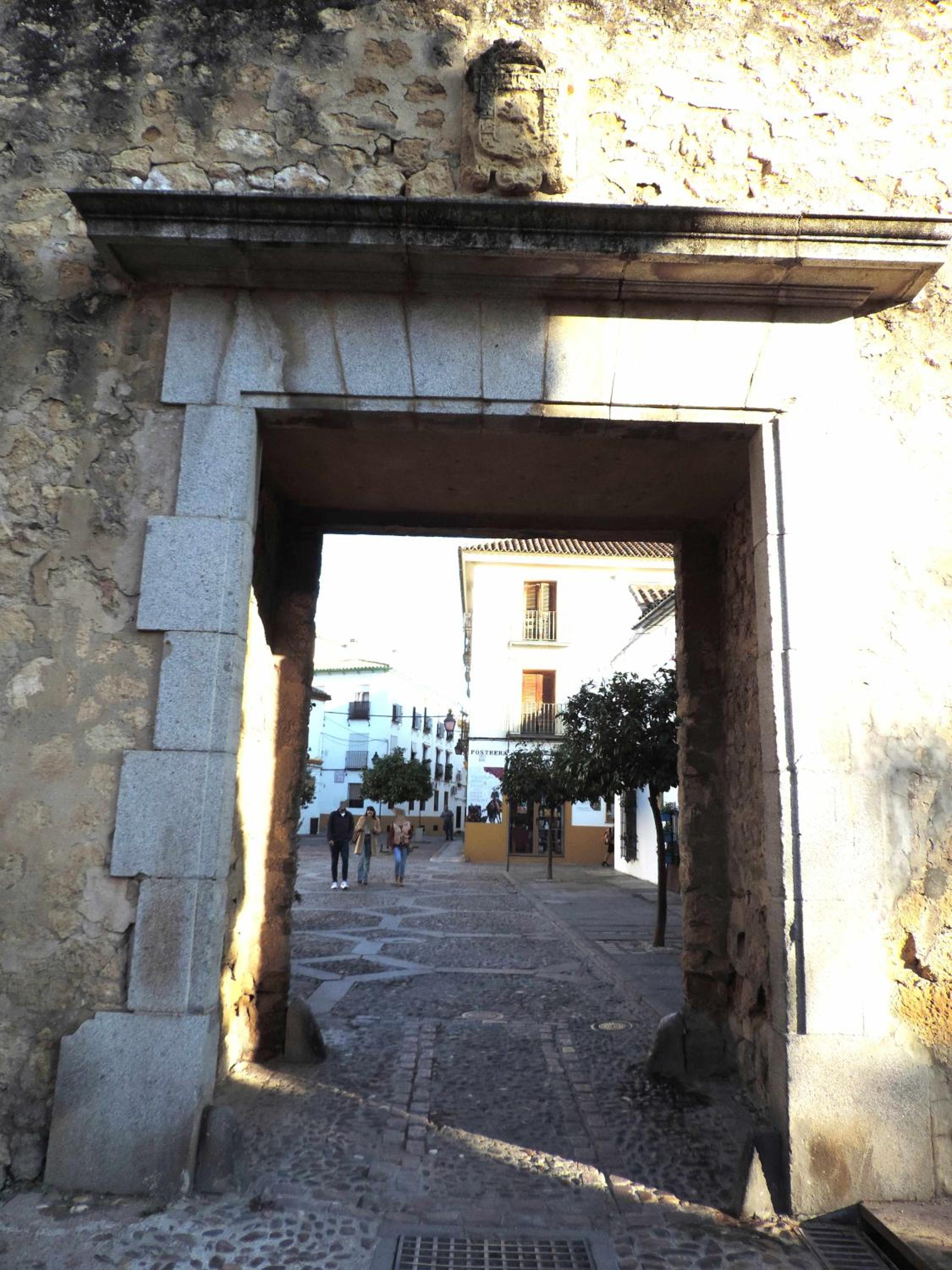 Photo 29