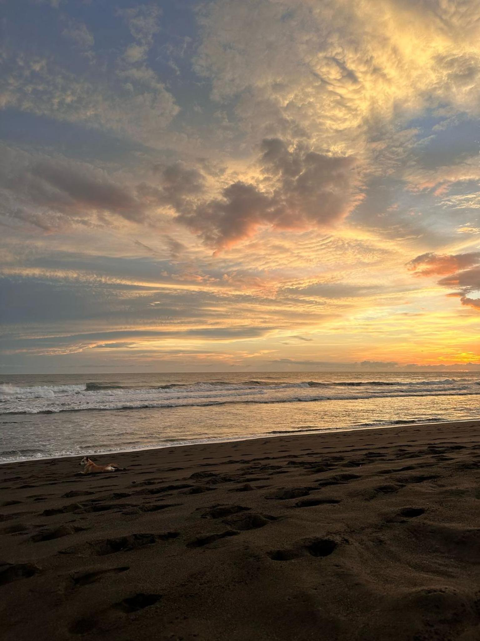 Hermosa Beach Bungalow 11