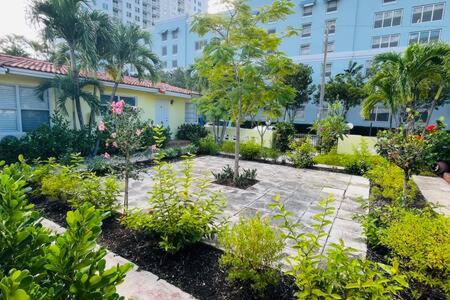 Huge 1 bed newly renovated free parking