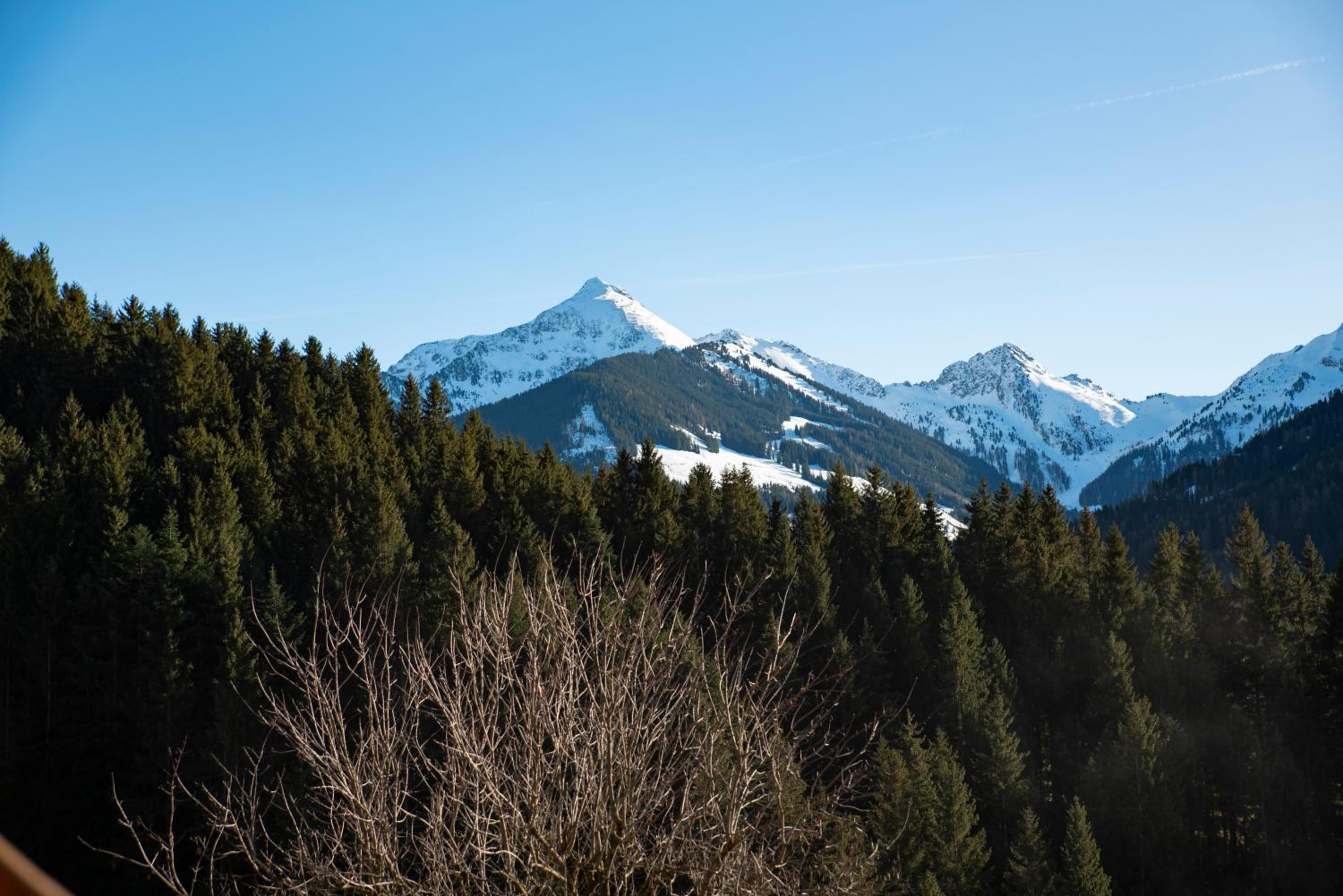 Naturapartments Alpbach - Alpin Bio Deluxe