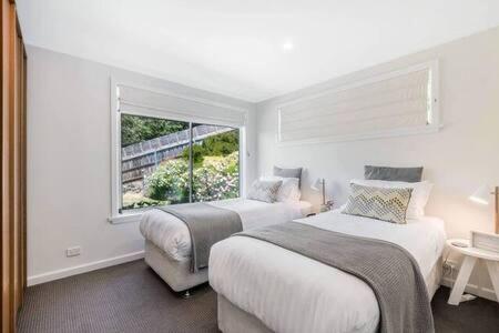 House on the Hill with a View-Sleeps 12