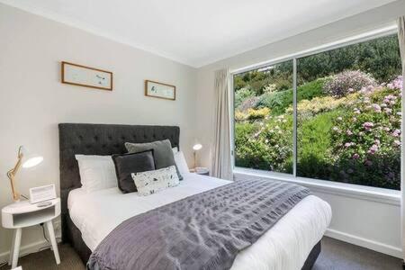 House on the Hill with a View-Sleeps 12
