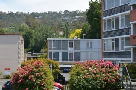 Modern 1 bed-walk Casino riverfront 5 mins to CBD
