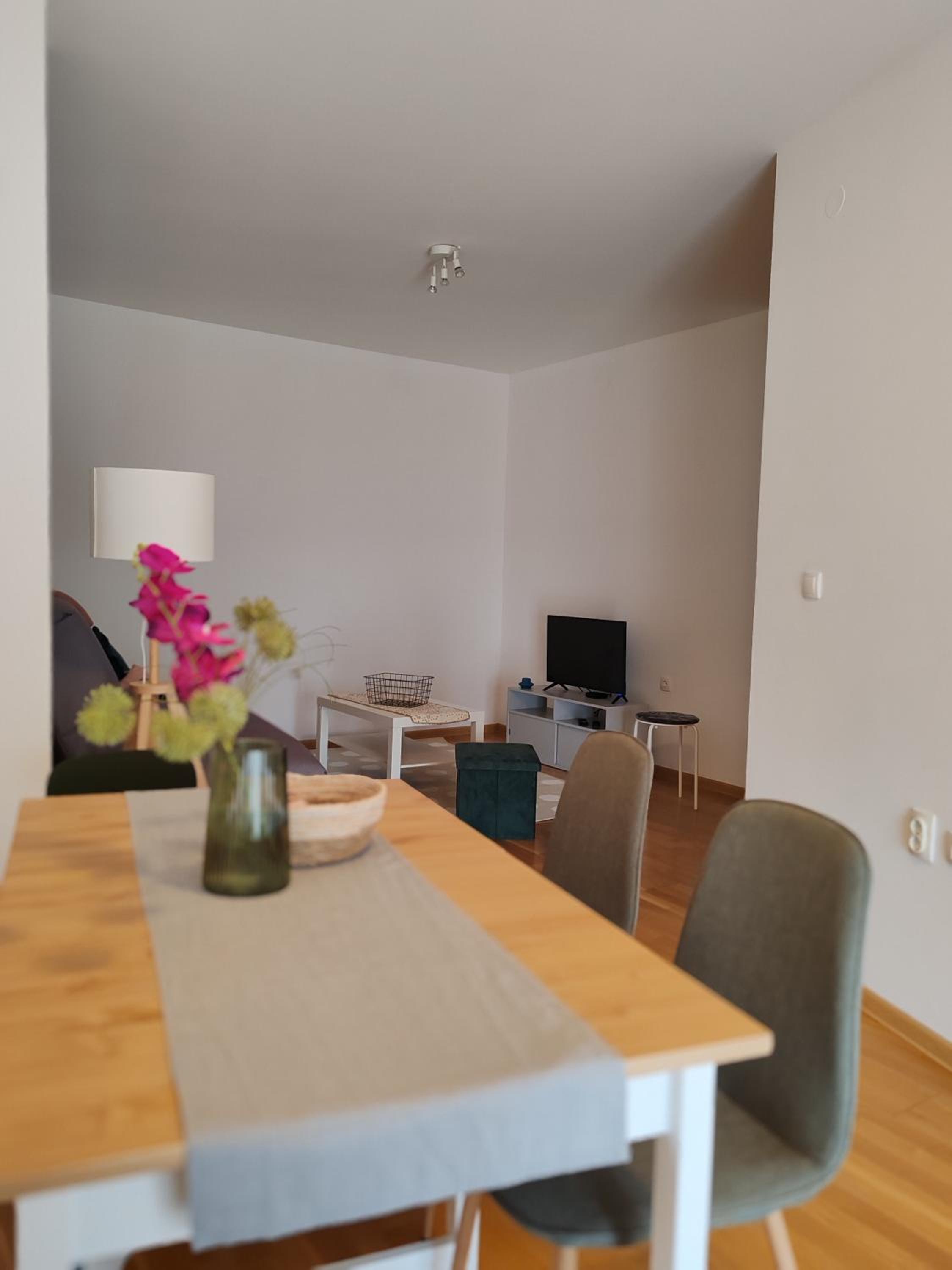 Apartman Kosta Novi Sad view 2