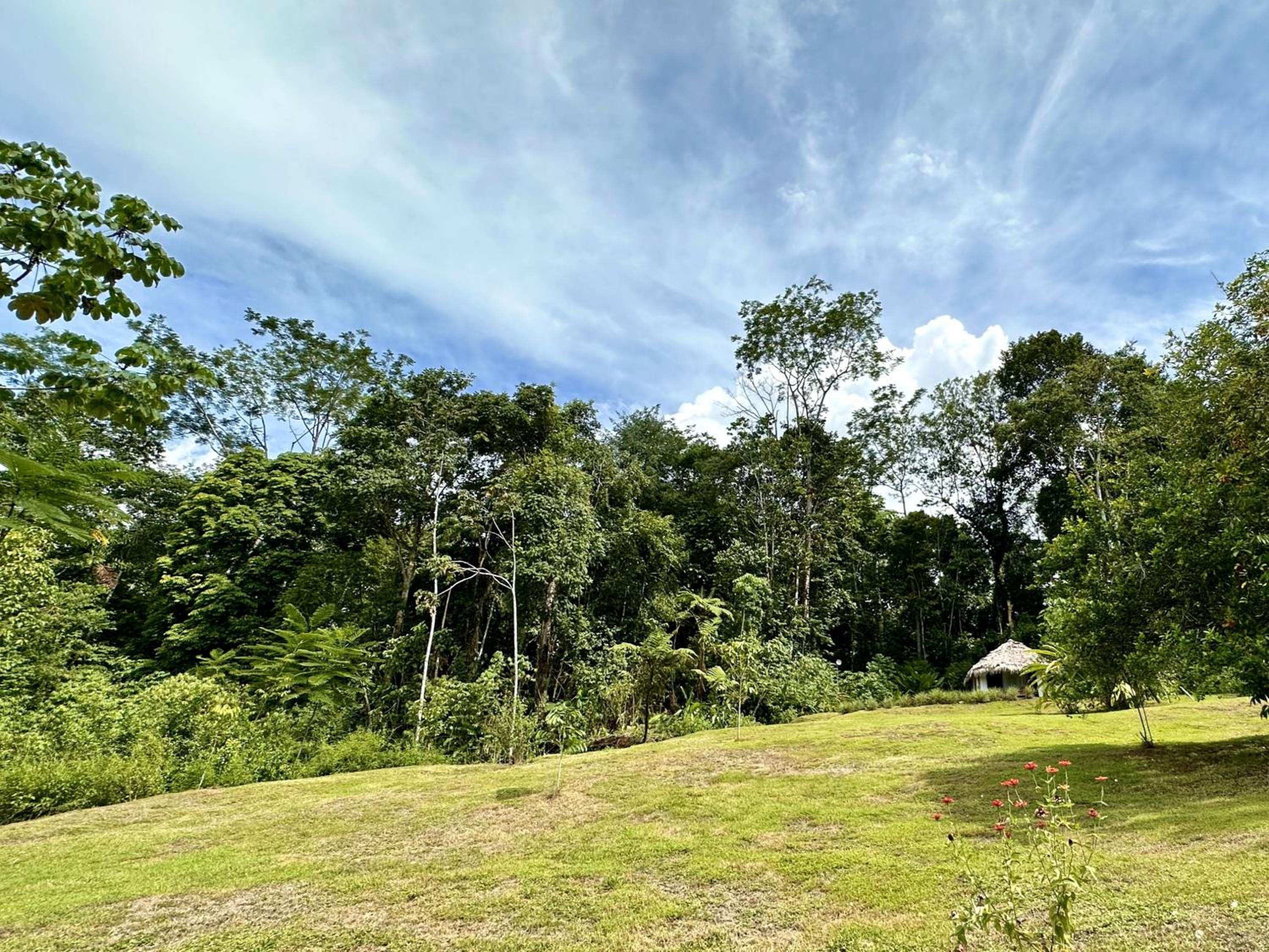Finca Terra Incognita - Wood cabins in the jungle - Sea view