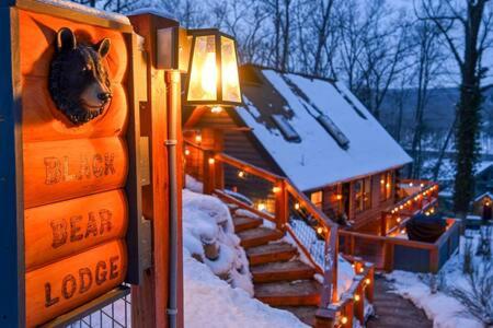 Luxe Lake View 4BR Cabin with Hot Tub Outdoor Fun view 2