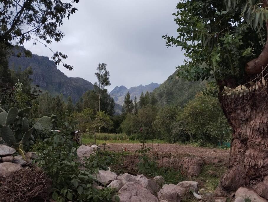 Chullpa's House view 3
