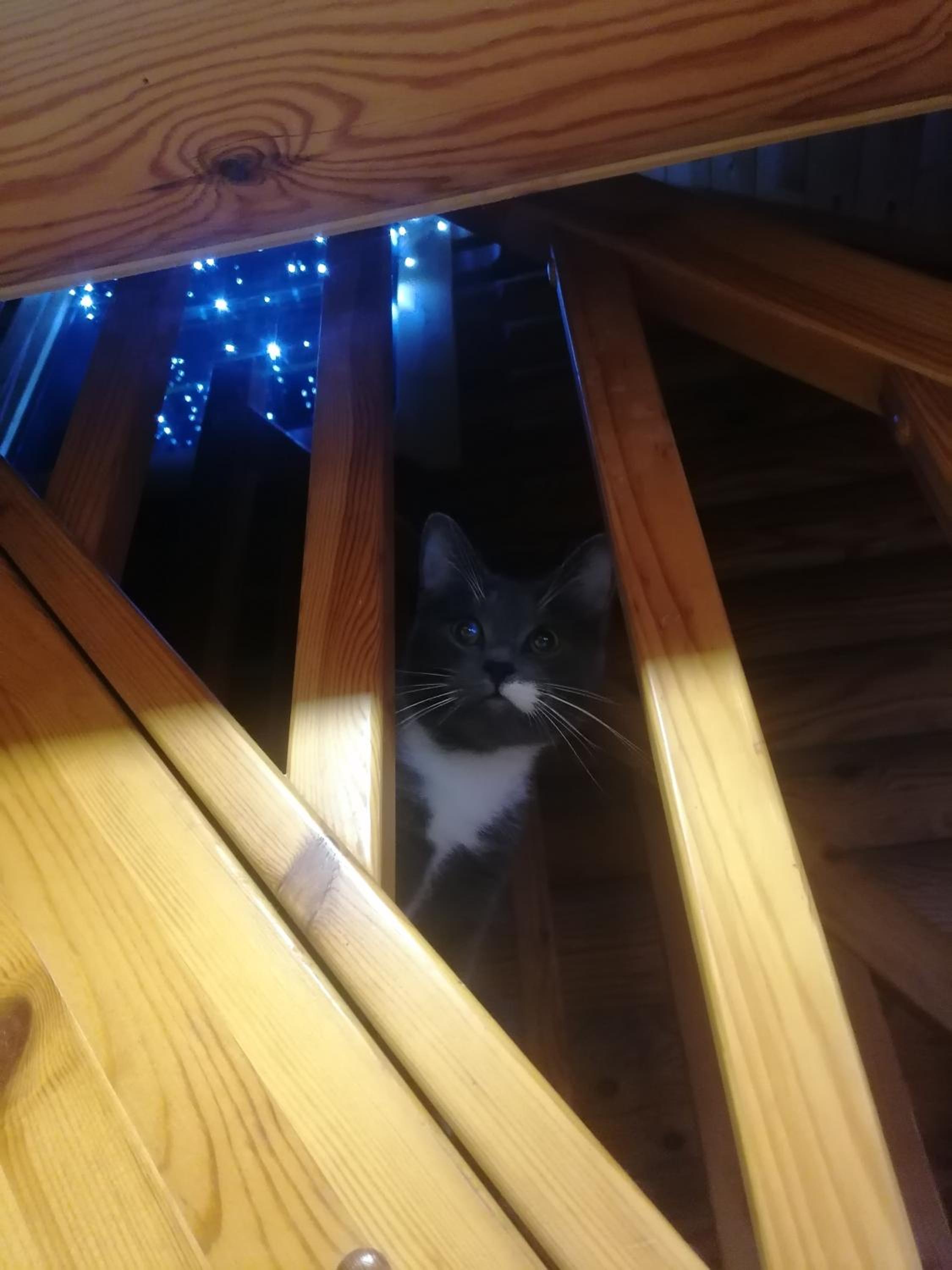 Tirtsu puhkemaja