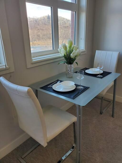 Stunning 1 bedroom condo in Calgary with riverview