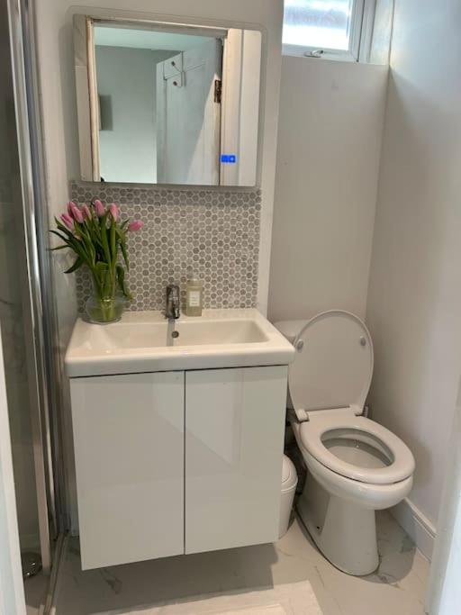 Guest Suite in Glenageary