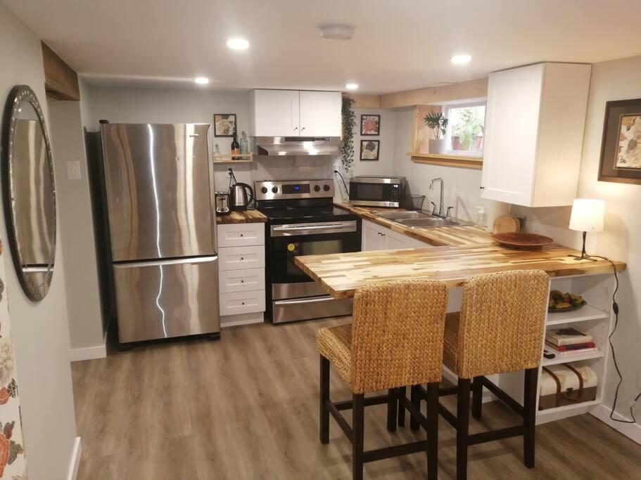 1 bedroom basement apartment with free parking