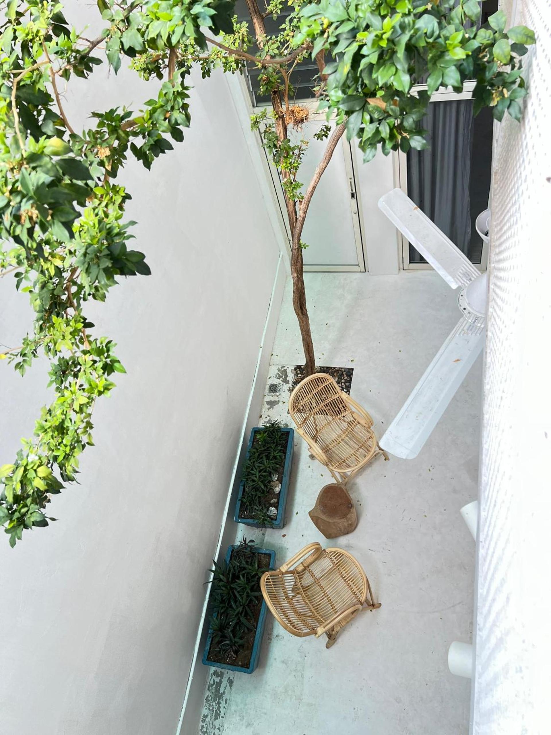Photo 30