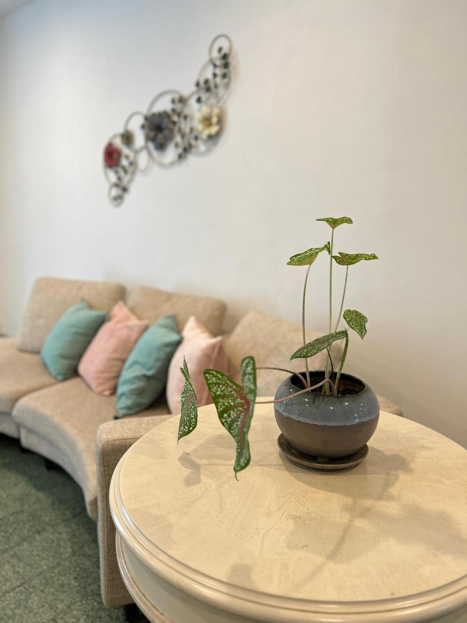 TreeHaus 38 Moulmein by SSL - Pulau Tikus Georgetown photo 2