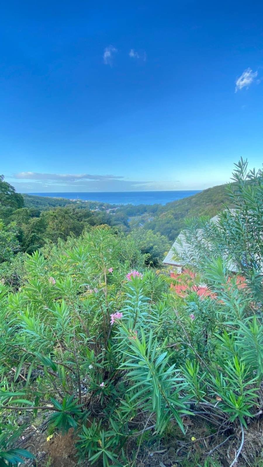 Les Hauts de Grand Case