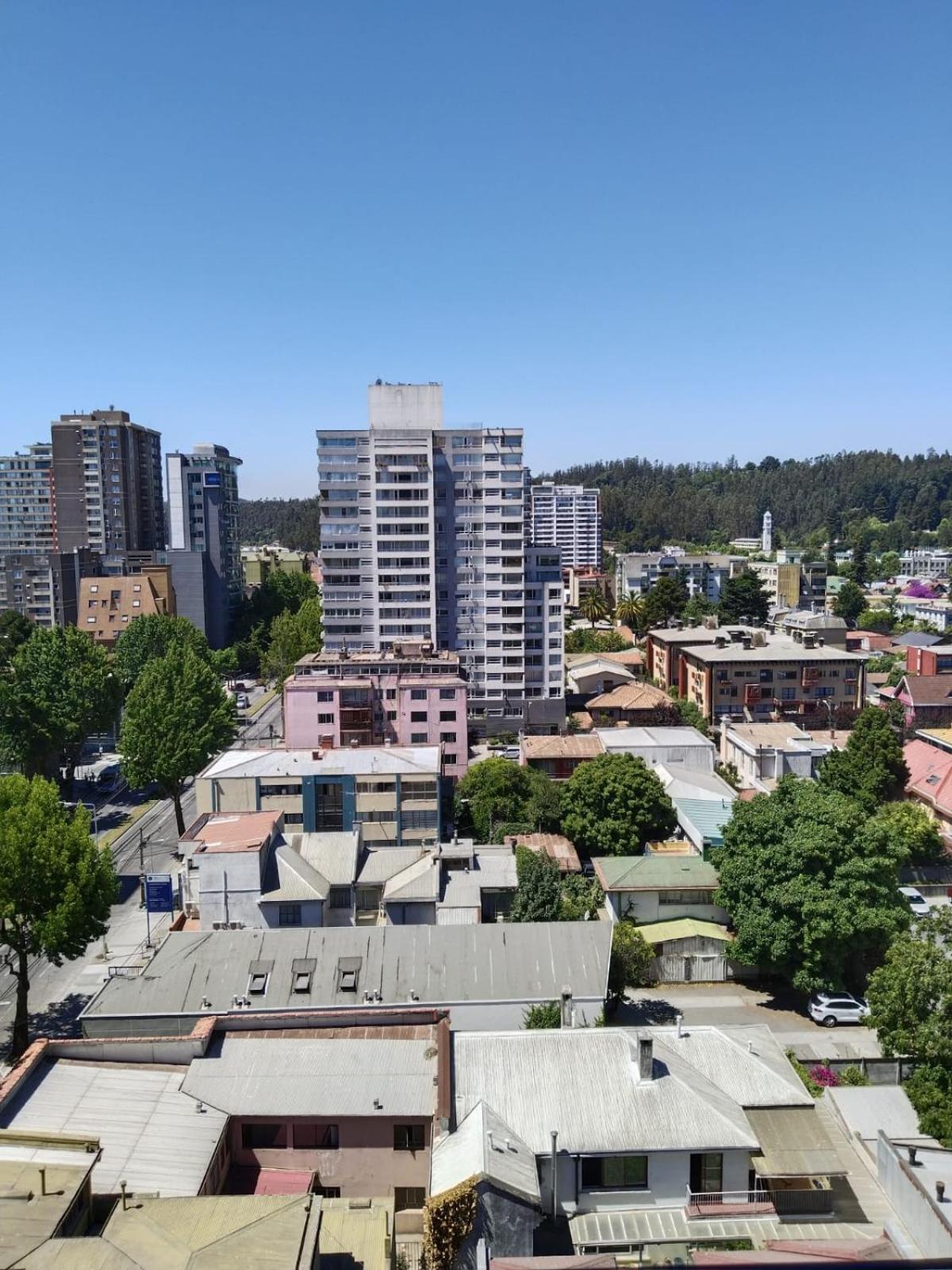 A pasos de la UDEC y centro