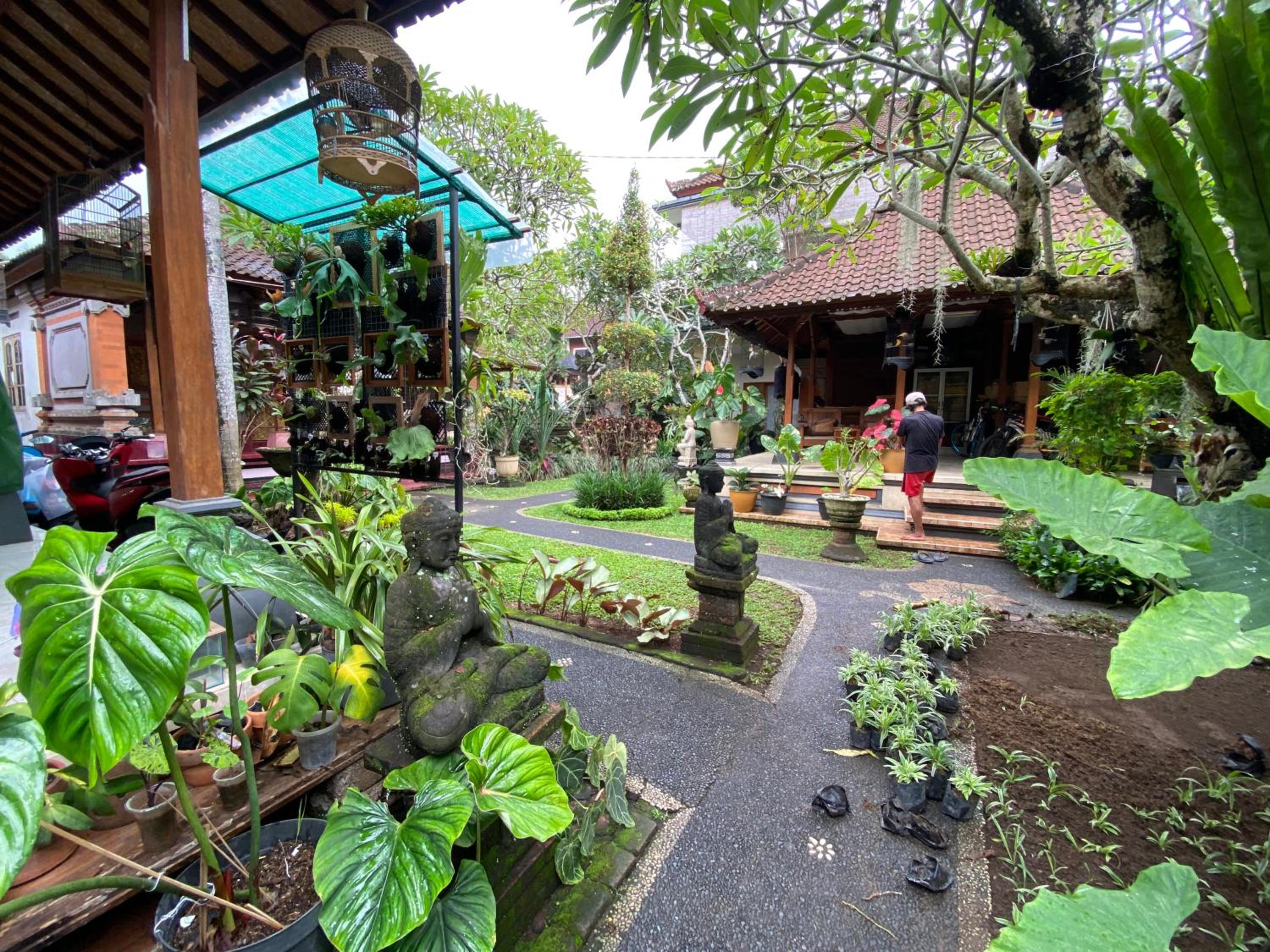 GUS ARDITYA HOMESTAY