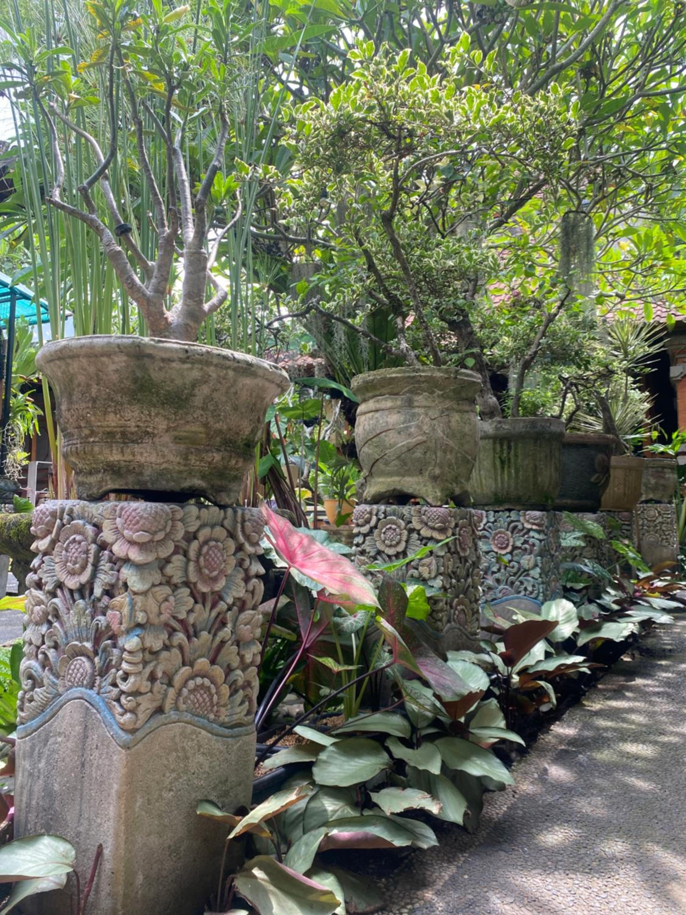 GUS ARDITYA HOMESTAY
