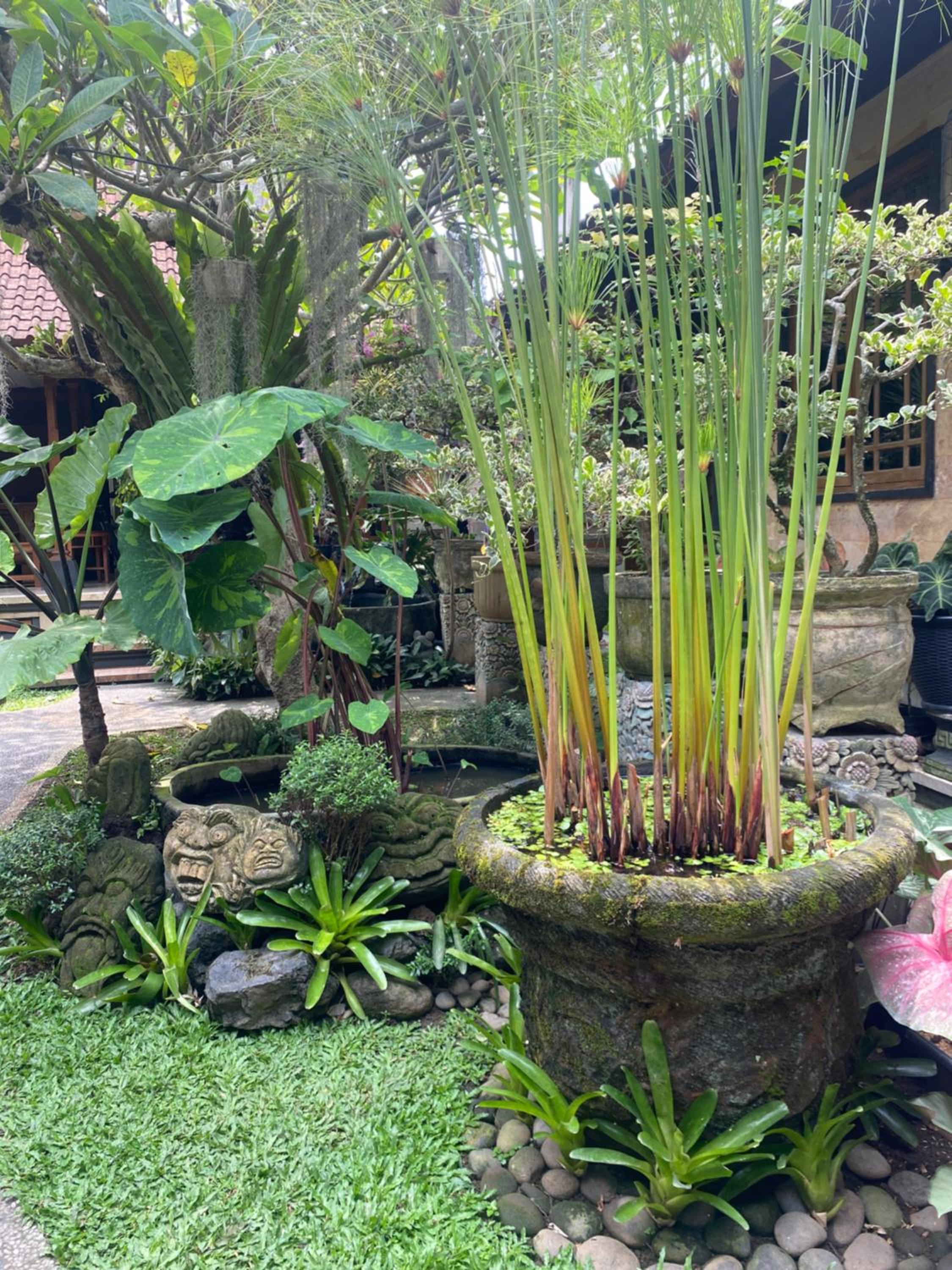 GUS ARDITYA HOMESTAY
