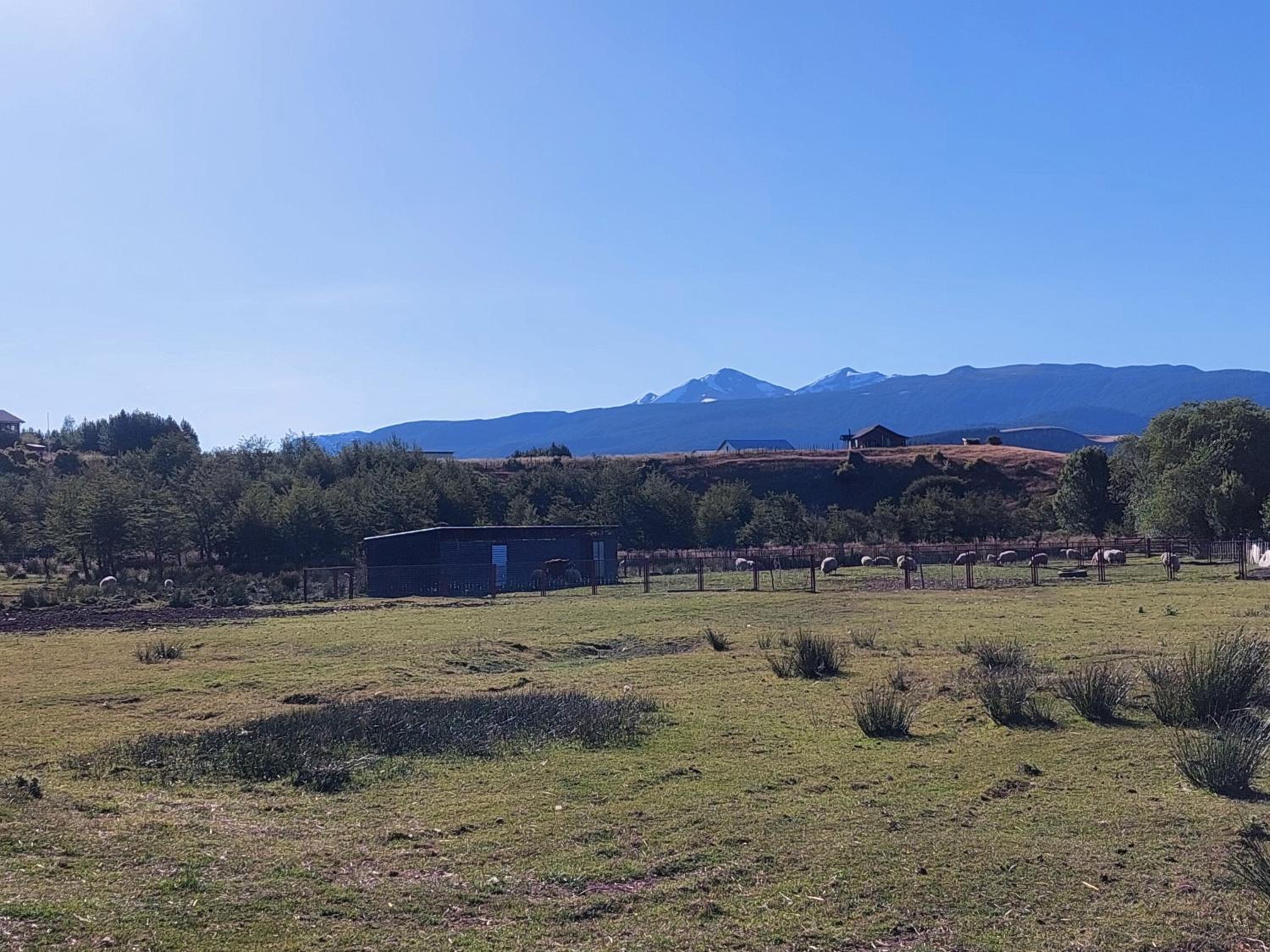 Aysén Domos-Cabañas tipo Domo