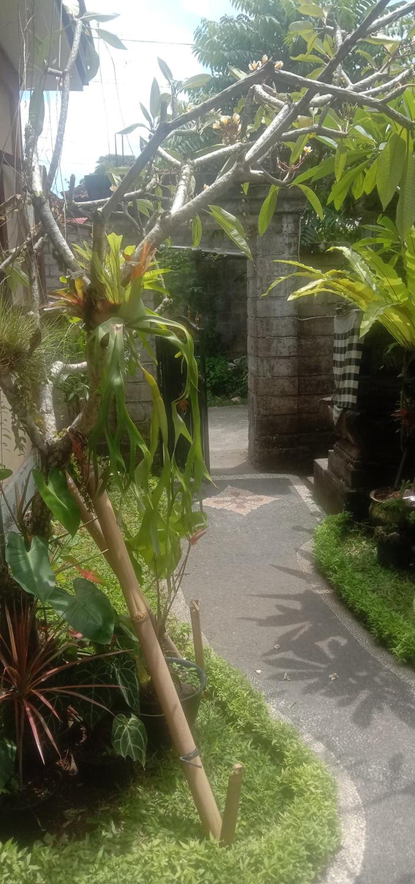 JERO HOUSE