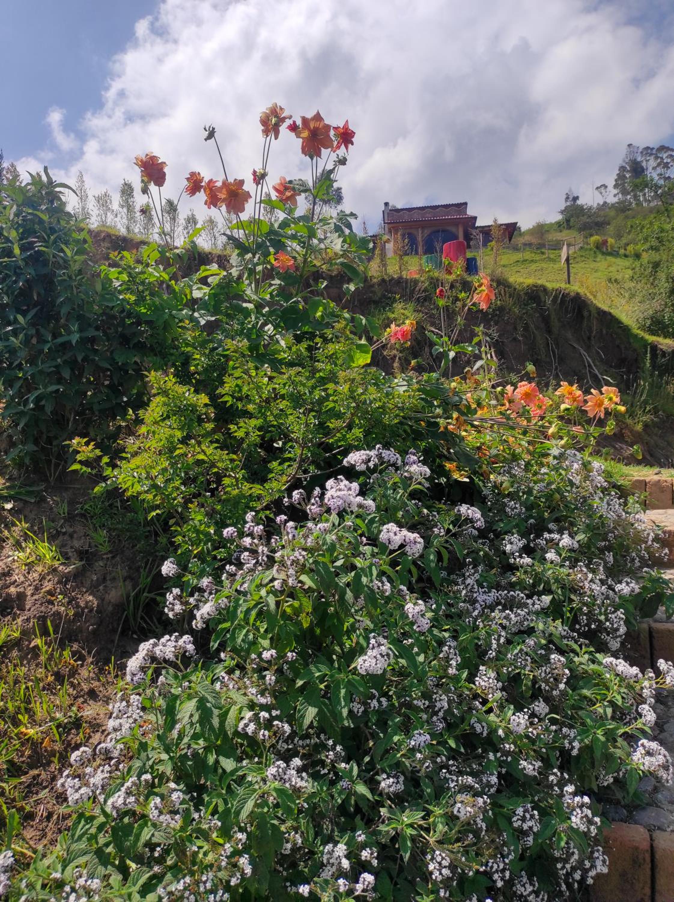Pumamaki EcoLodge Glamping