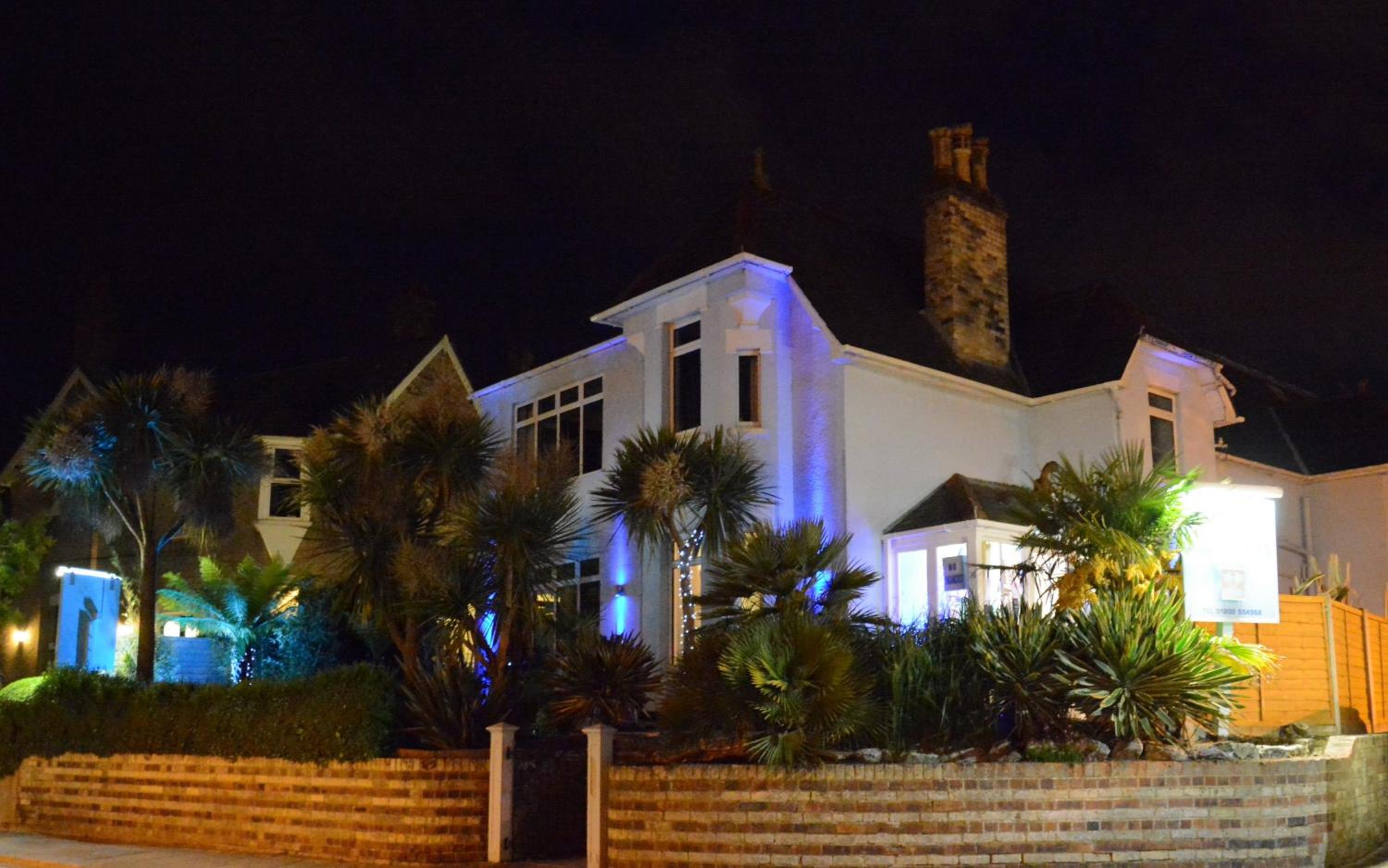 Blue Palms