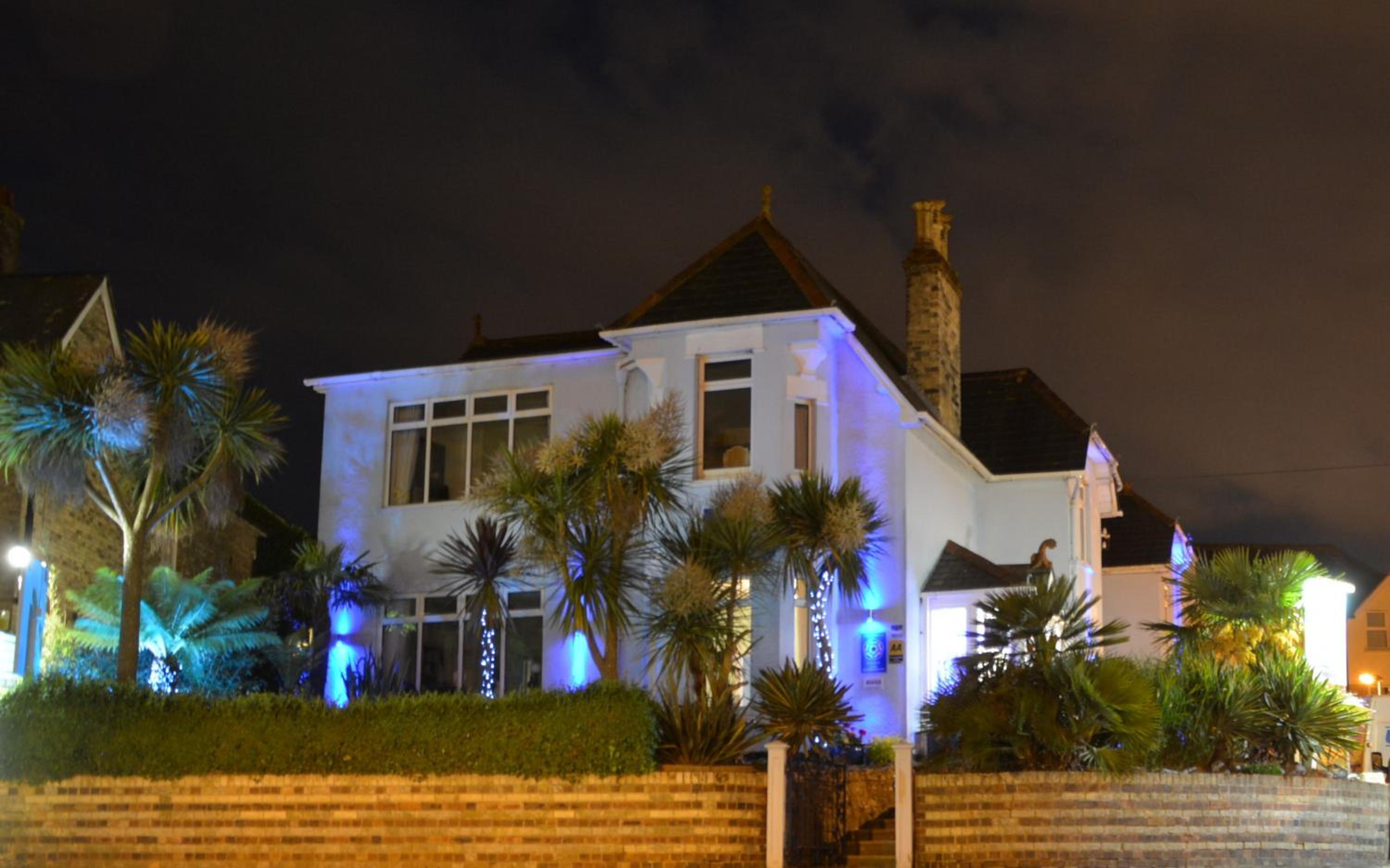 Blue Palms