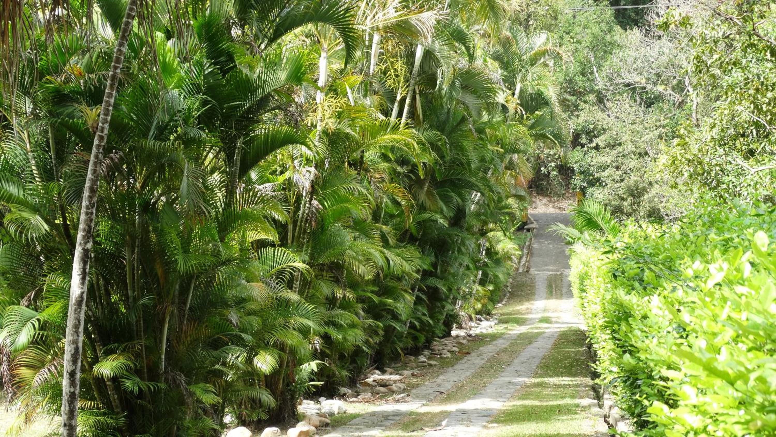 Finca Jerusalen