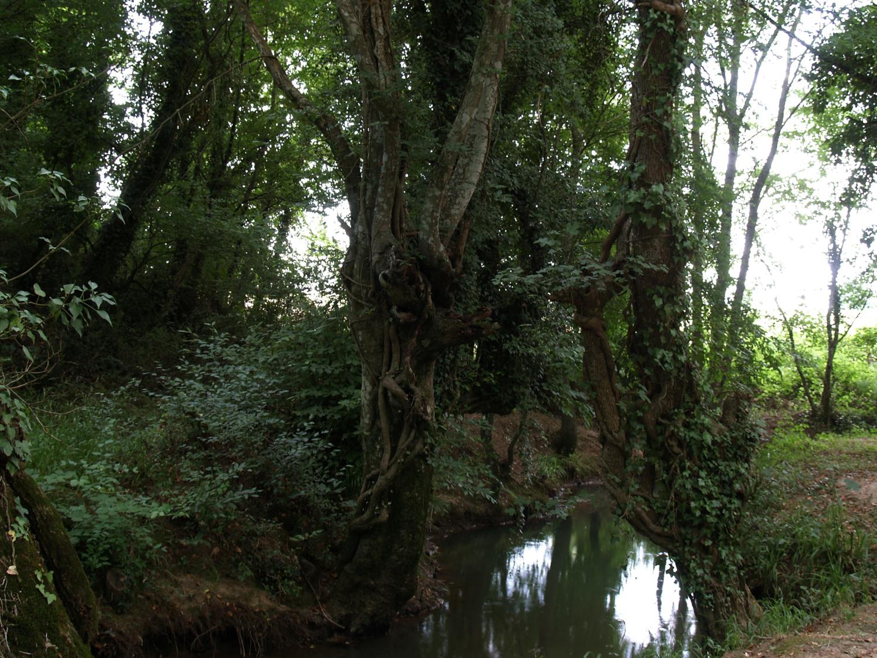 Photo 24