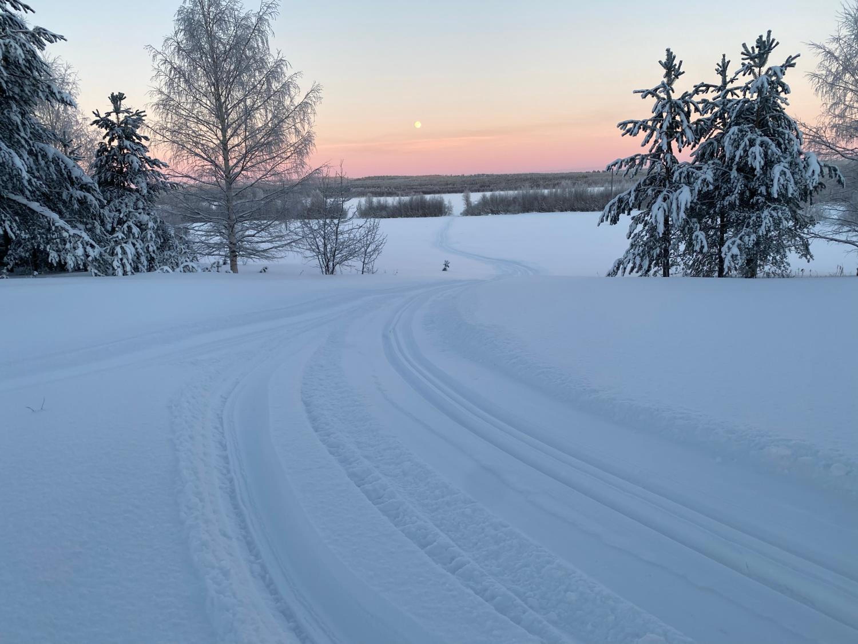 Row house in Meltosjärvi