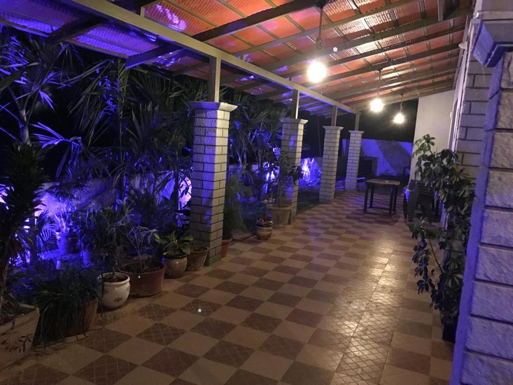 Grassland Homestay