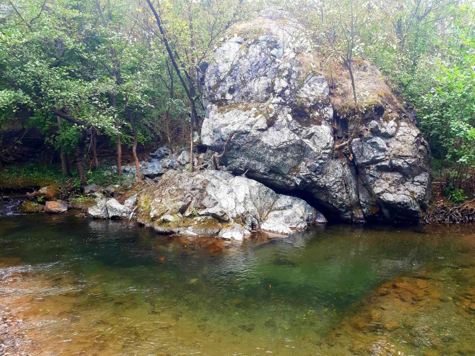 Photo 17