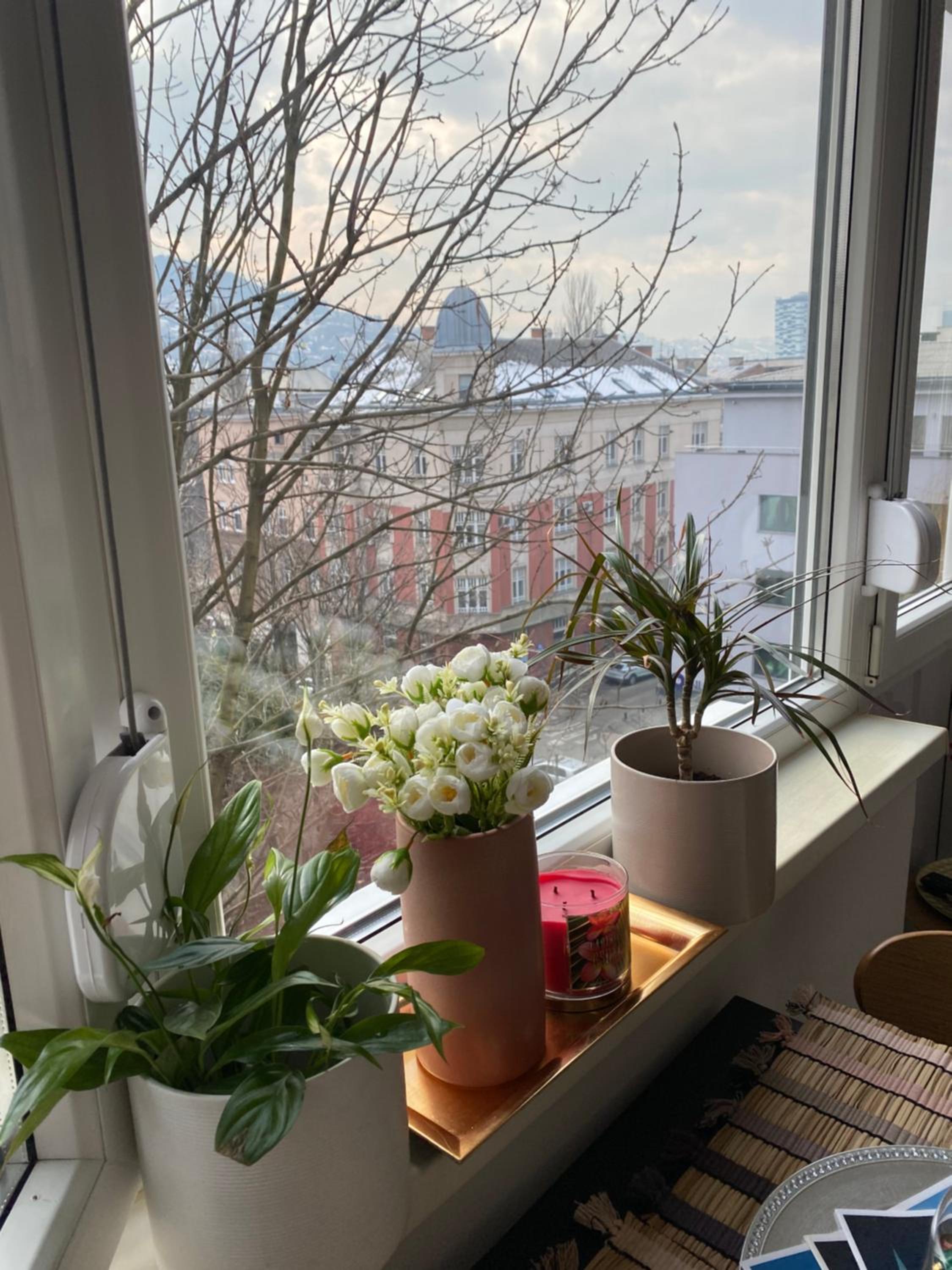 Studio Central Apartment