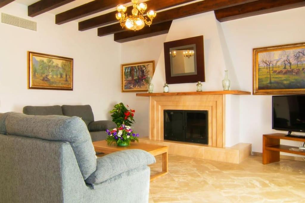 Villa Palmeral in Petra