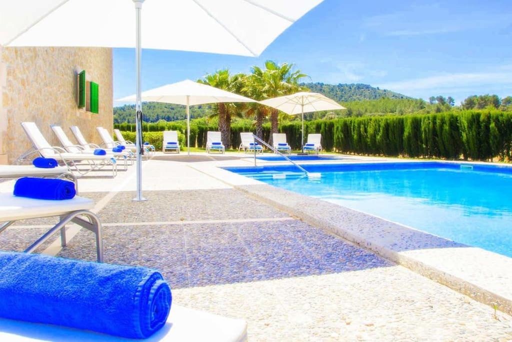 Villa Palmeral in Petra