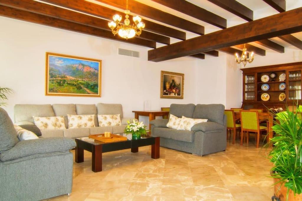 Villa Palmeral in Petra