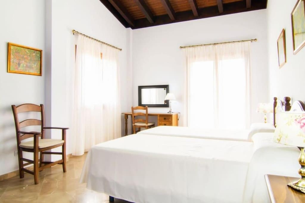 Villa Palmeral in Petra