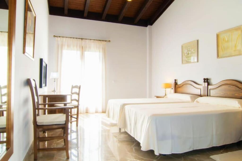 Villa Palmeral in Petra