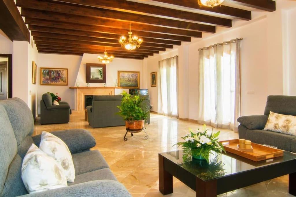 Villa Palmeral in Petra