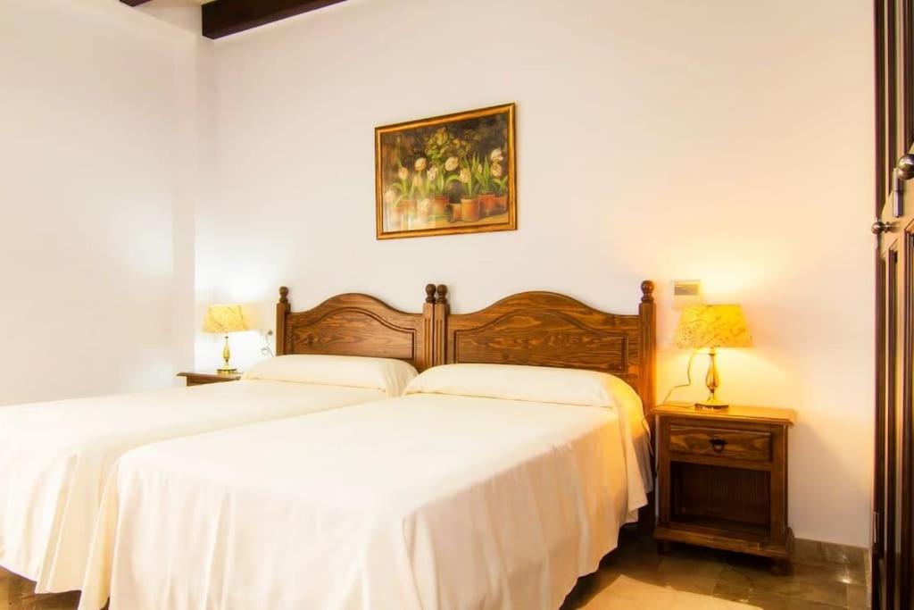 Villa Palmeral in Petra