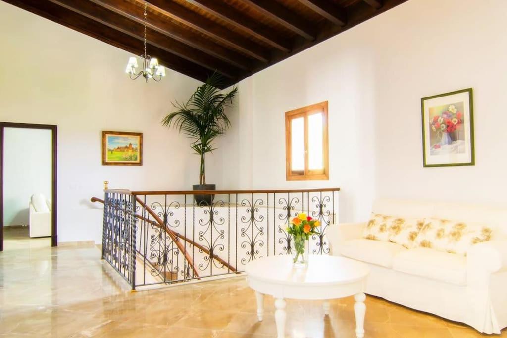Villa Palmeral in Petra