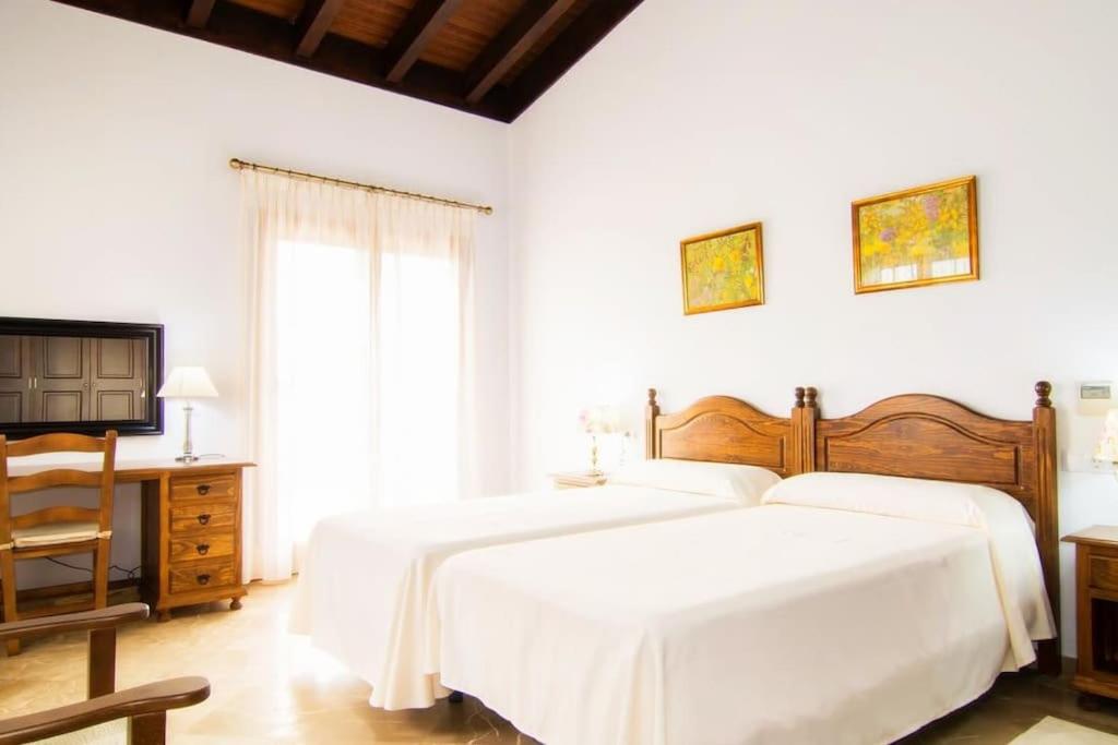 Villa Palmeral in Petra