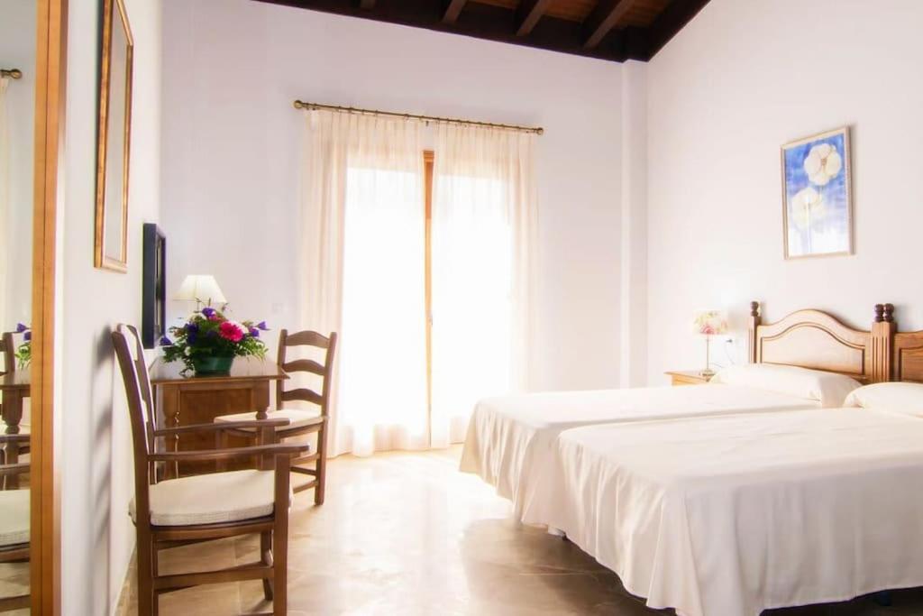 Villa Palmeral in Petra