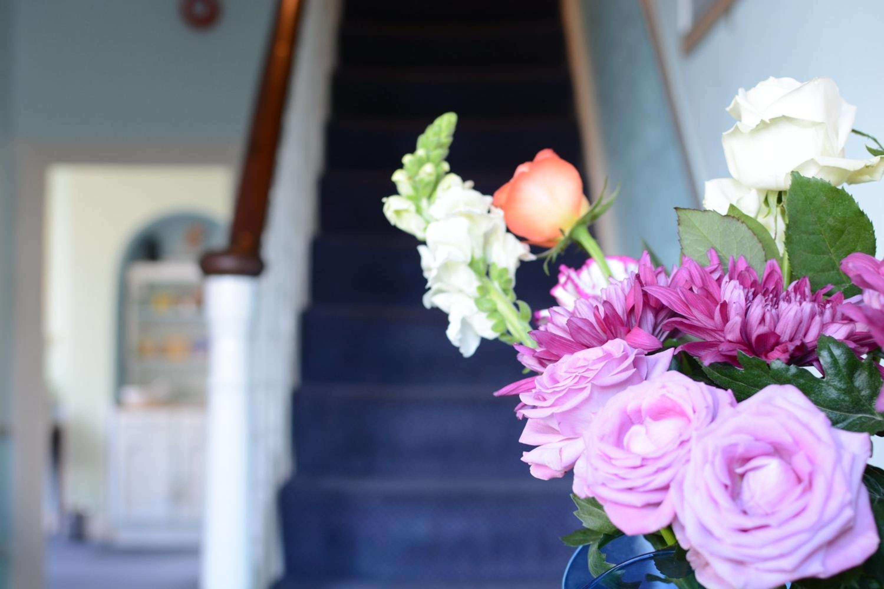 Blue Palms
