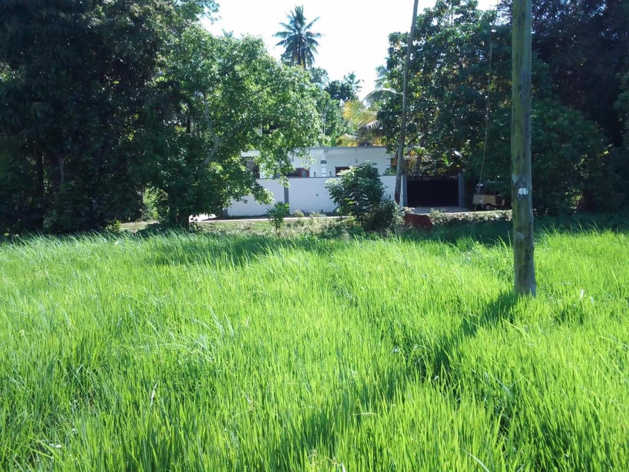 Free Breeze Guest & Villa view 3