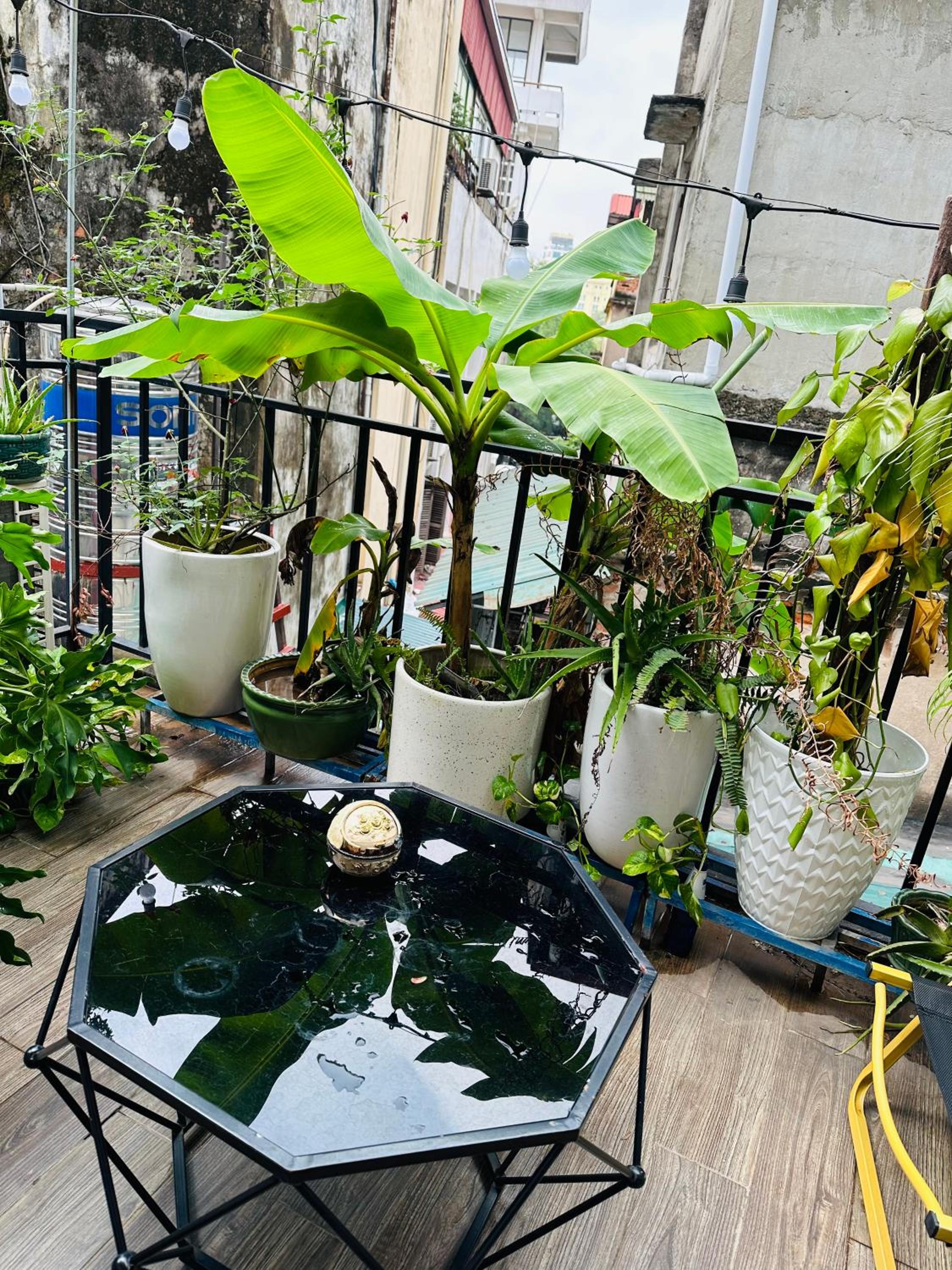 Cau Go/Super Location/ Big Balcony/Culinary Paradise