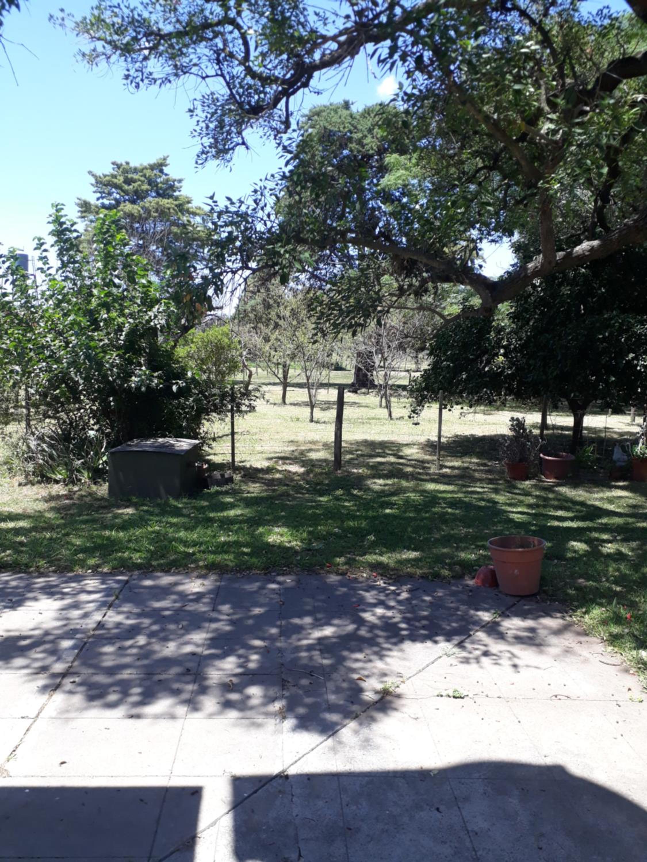 Cabaña casa grande
